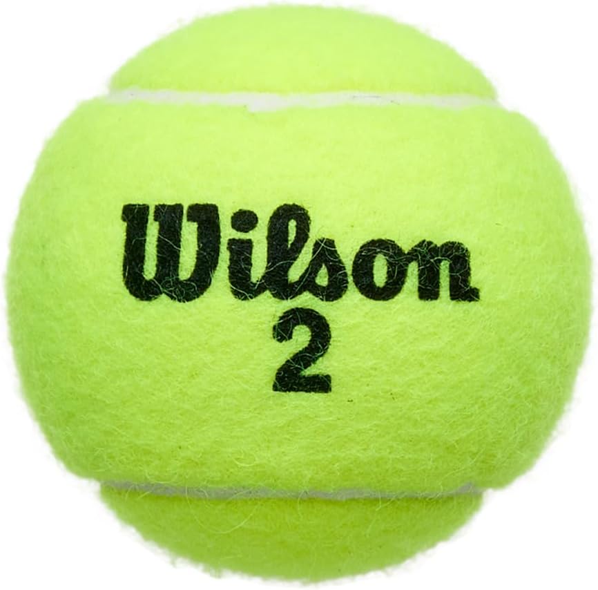 WILSON Championship Tennis Balls