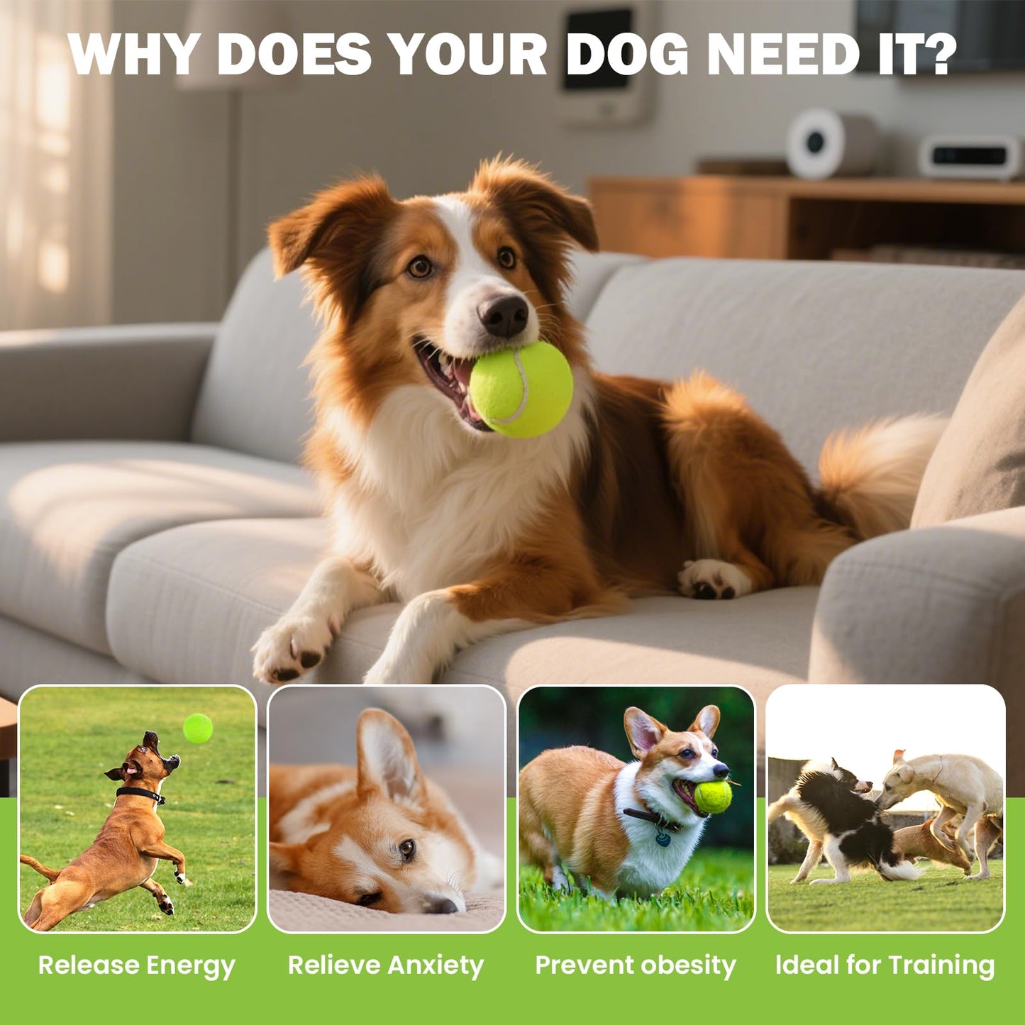 FURWEY Tennis Ball,6/12/24/36/40/80P Training Balls,Dog Balls with Mesh Bag