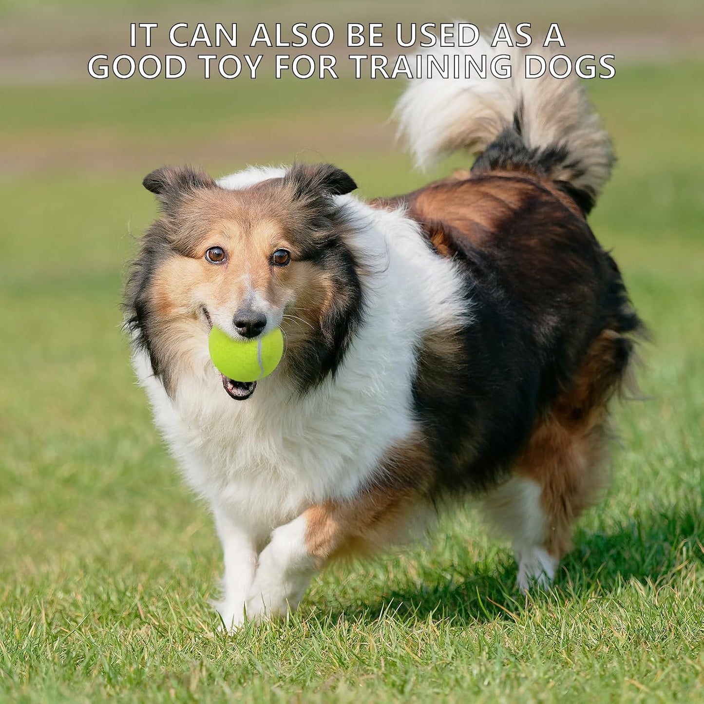 SHYUJAJIE Tennis Ball,20 Pack Practice Balls Bulk,Dog Balls with Mesh Bag