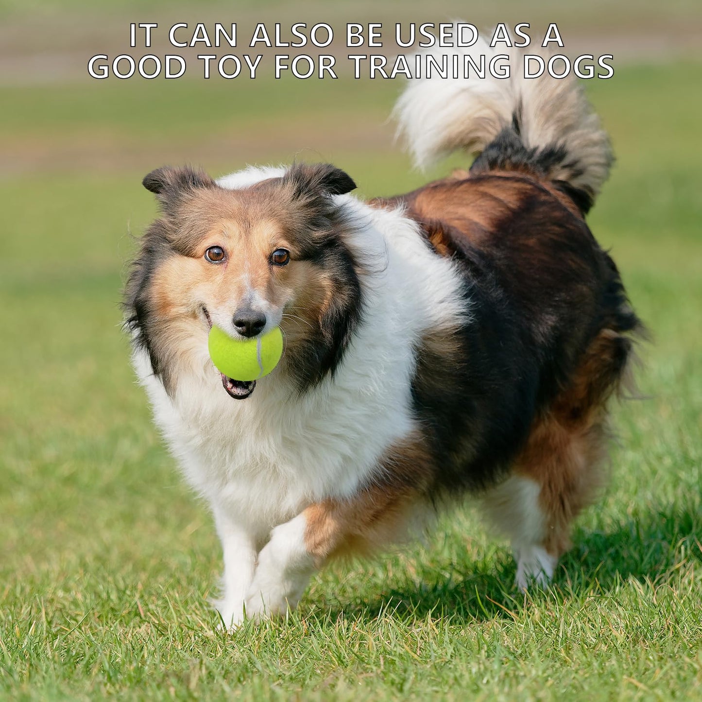 SHYUJAJIE Tennis Ball,20 Pack Practice Balls Bulk,Dog Balls with Mesh Bag